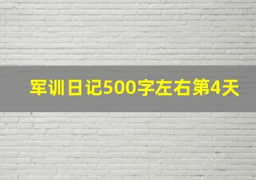 军训日记500字左右第4天