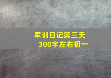 军训日记第三天300字左右初一