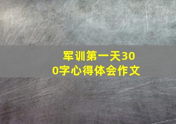 军训第一天300字心得体会作文