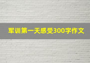 军训第一天感受300字作文