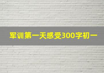 军训第一天感受300字初一