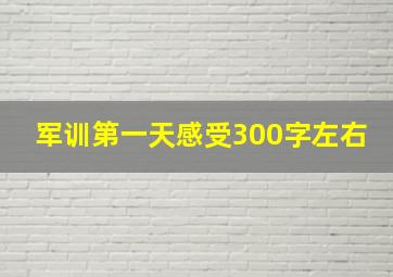 军训第一天感受300字左右