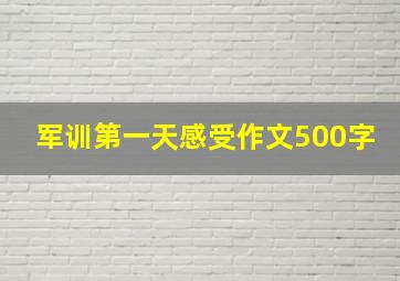 军训第一天感受作文500字