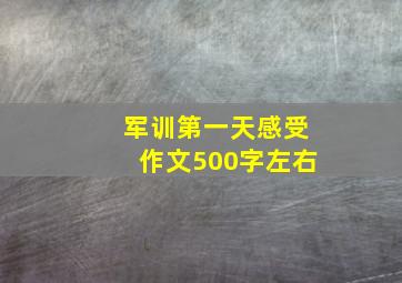 军训第一天感受作文500字左右