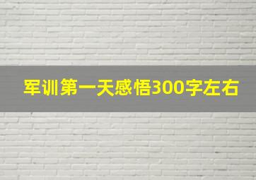 军训第一天感悟300字左右