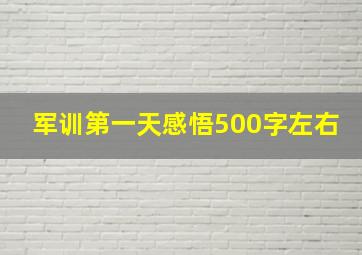 军训第一天感悟500字左右