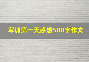 军训第一天感想500字作文