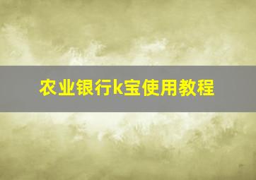 农业银行k宝使用教程