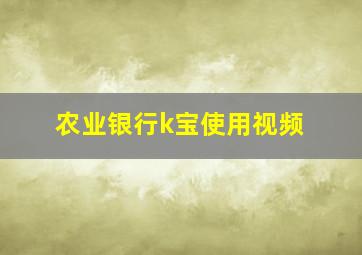 农业银行k宝使用视频