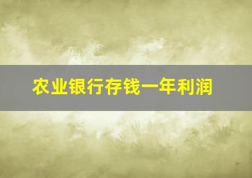 农业银行存钱一年利润