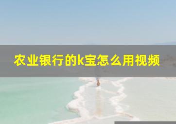 农业银行的k宝怎么用视频