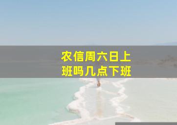 农信周六日上班吗几点下班