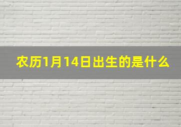 农历1月14日出生的是什么