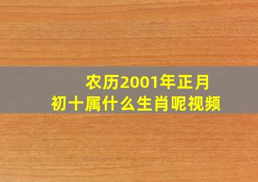 农历2001年正月初十属什么生肖呢视频