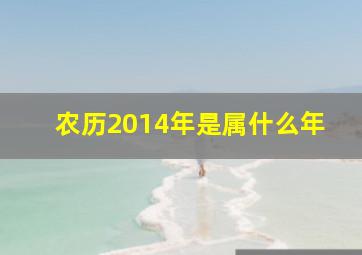 农历2014年是属什么年