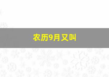 农历9月又叫