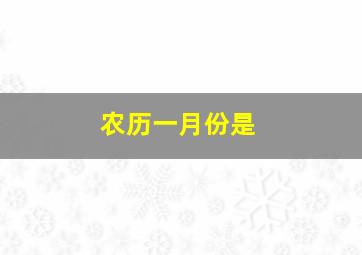 农历一月份是