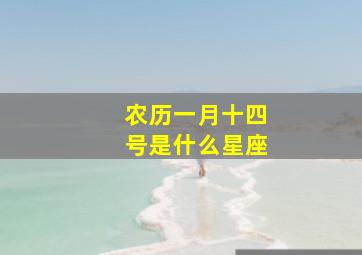 农历一月十四号是什么星座