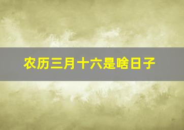 农历三月十六是啥日子