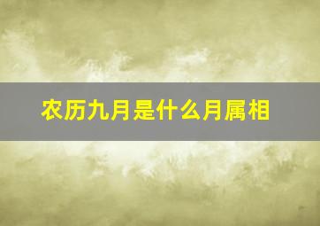 农历九月是什么月属相