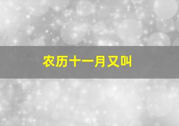 农历十一月又叫