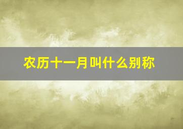 农历十一月叫什么别称