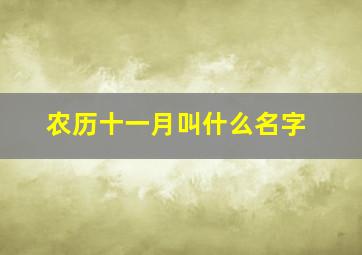 农历十一月叫什么名字