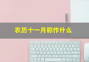 农历十一月称作什么