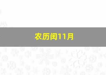 农历闰11月