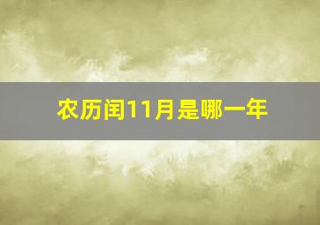 农历闰11月是哪一年