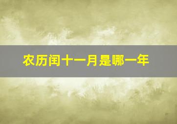 农历闰十一月是哪一年