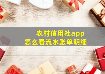 农村信用社app怎么看流水账单明细