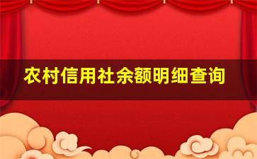 农村信用社余额明细查询