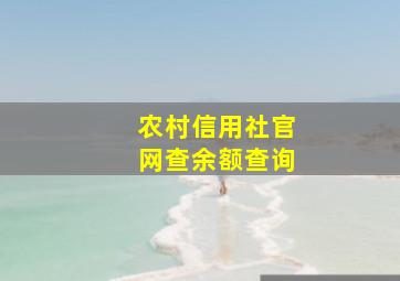 农村信用社官网查余额查询