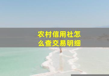 农村信用社怎么查交易明细