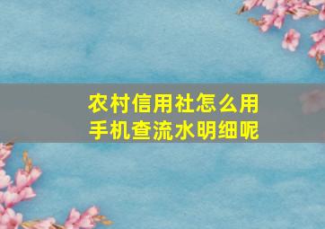 农村信用社怎么用手机查流水明细呢