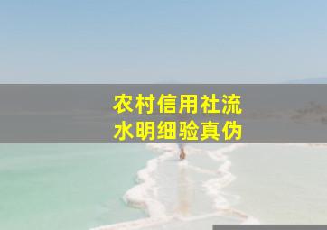 农村信用社流水明细验真伪