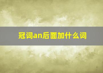 冠词an后面加什么词