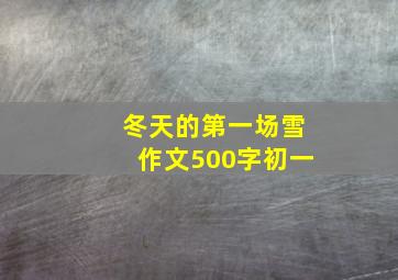 冬天的第一场雪作文500字初一