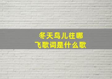 冬天鸟儿往哪飞歌词是什么歌