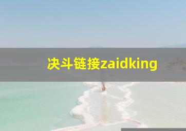 决斗链接zaidking