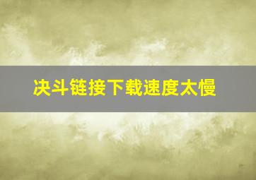 决斗链接下载速度太慢