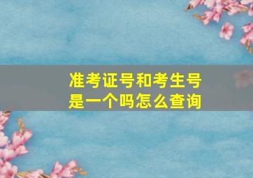 准考证号和考生号是一个吗怎么查询