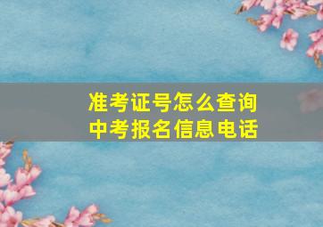 准考证号怎么查询中考报名信息电话