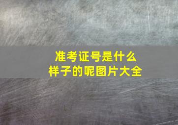 准考证号是什么样子的呢图片大全