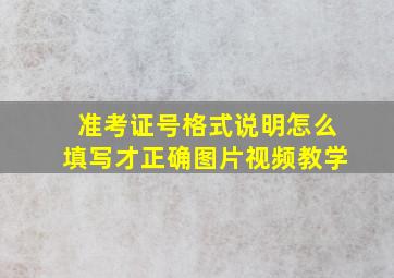 准考证号格式说明怎么填写才正确图片视频教学