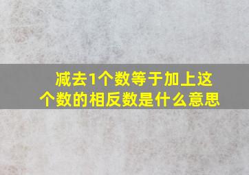 减去1个数等于加上这个数的相反数是什么意思