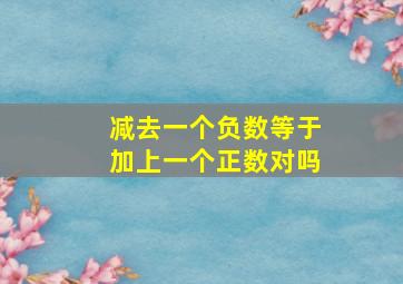 减去一个负数等于加上一个正数对吗