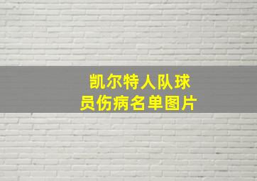 凯尔特人队球员伤病名单图片