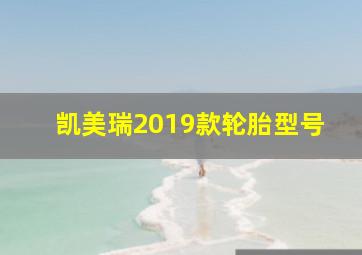 凯美瑞2019款轮胎型号